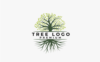 Vibrant Tree Logo Design. Tree And Root Vector. Tree of Life Logo Design Inspiration
