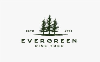 Vintage Rustic Retro Evergreen, Pines, Spruce, Cedar Trees Logo Design