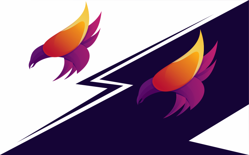 colorful bird modern logo template Logo Template
