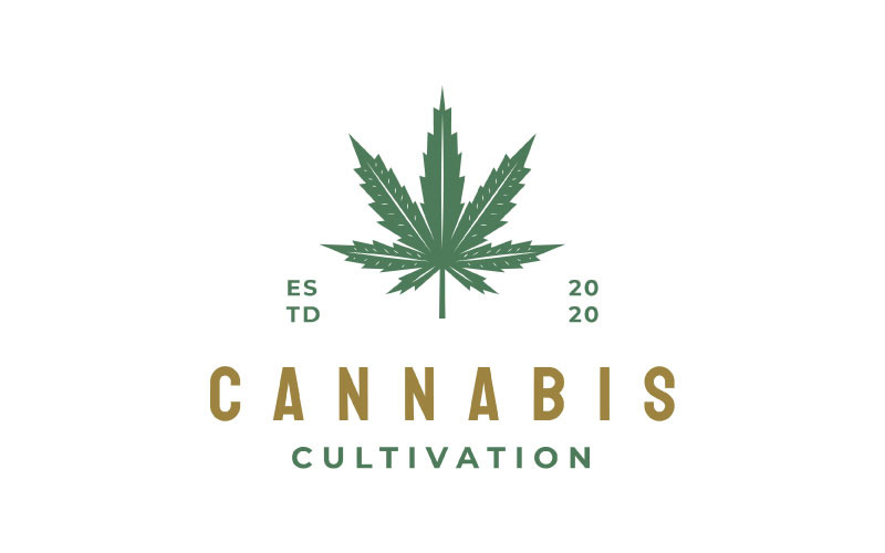 Vintage Cannabis Leaf Logo Design Vector Template Logo Template