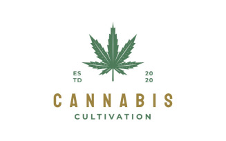 Vintage Cannabis Leaf Logo Design Vector Template