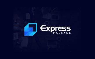 Express Package Delivery Shipping Logo