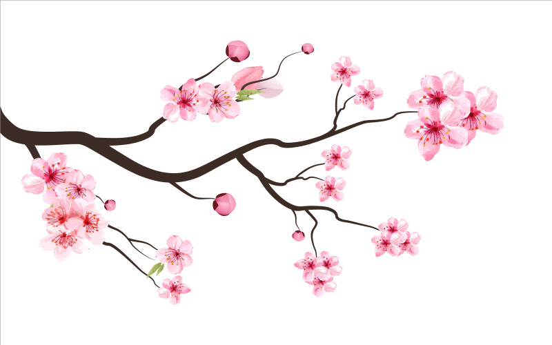 Cherry Blossom Branch vector Illustration