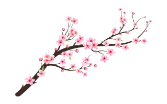 Cherry Blossom Watercolor Flower Bloom