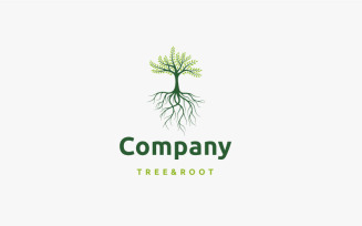 Vibrant Tree And Root Logo Design Vector Illustration