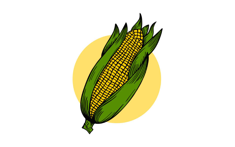 Vintage Retro Sweet Corn Vector Illustration Logo Template