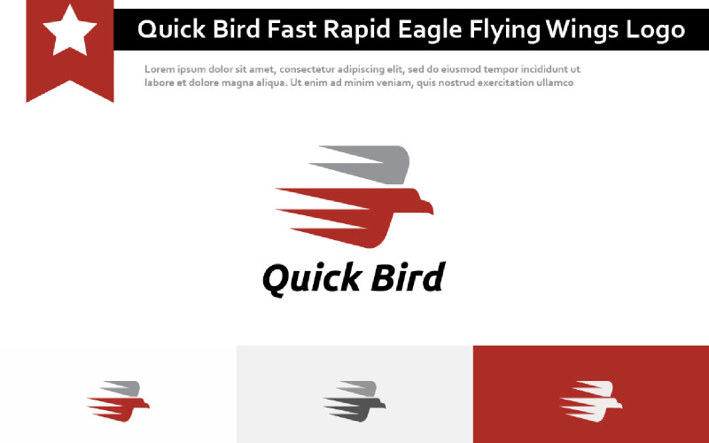 Quick Bird Fast Rapid Eagle Flying Wings Logo Logo Template