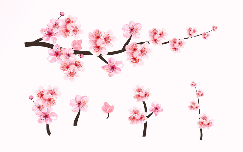Cherry Blossom Branch Elements Vector Illustration