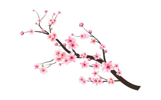 Cherry Blossom Branch with Sakura Flower