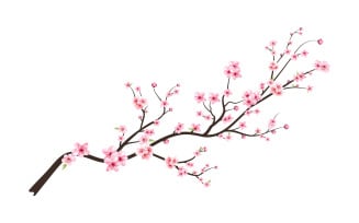 Cherry Blossom Flower with Watercolor cherry bud
