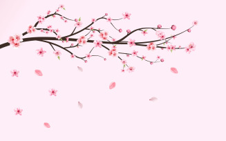 Cherry Blossom Sakura Flower Falling