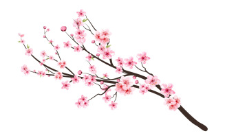Cherry Blossom Tree Branch with Sakura Flower