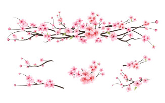 Cherry Blossom Watercolor Sakura Flower
