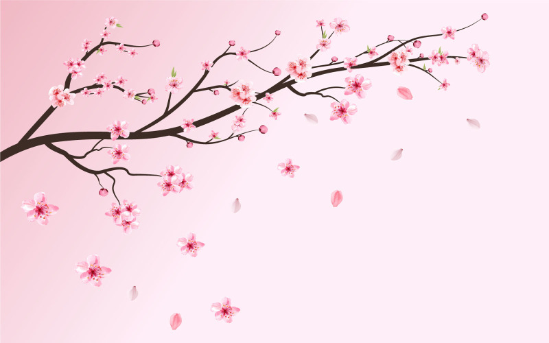 Realistic Cherry Blossom Sakura Flower Illustration