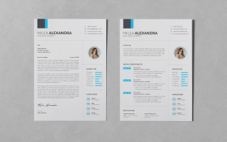 Resume/CV PSD Design Templates Vol 99
