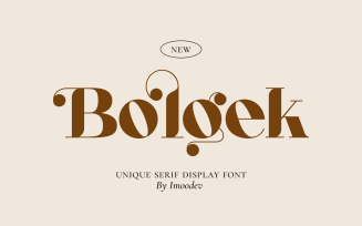 Bolgek Display Modern Font