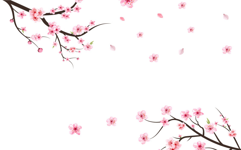 Cherry Blossom Branch with Pink Flower Illustration