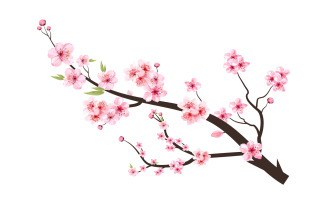 Cherry Blossom Branch with Sakura Flower Bud
