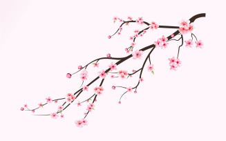 Cherry Blossom Branch with Sakura Flower Design