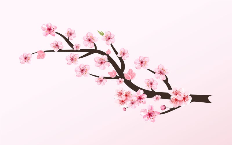 Cherry Blossom Sakura Branch Pink Flower Illustration