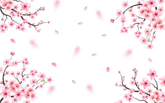 Cherry Blossom Vector with Sakura Flower