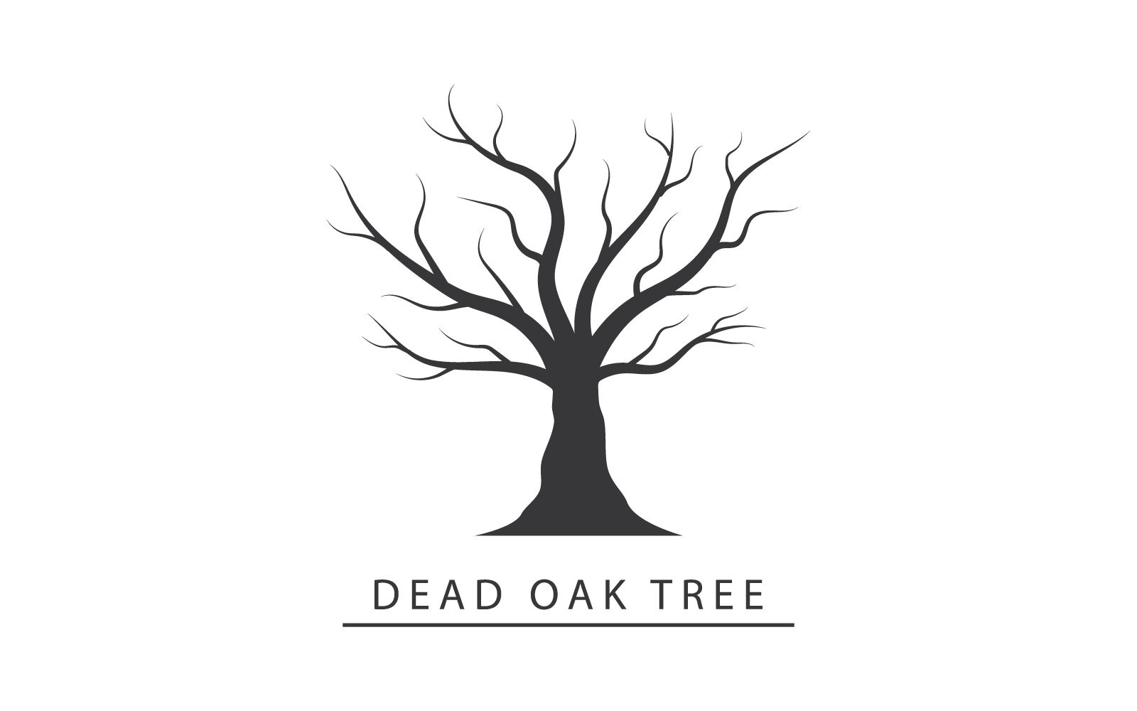 Old Oak tree nature illustration logo template vector design