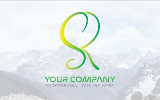 Professional SR Letter Logo Design-Brand Identity
