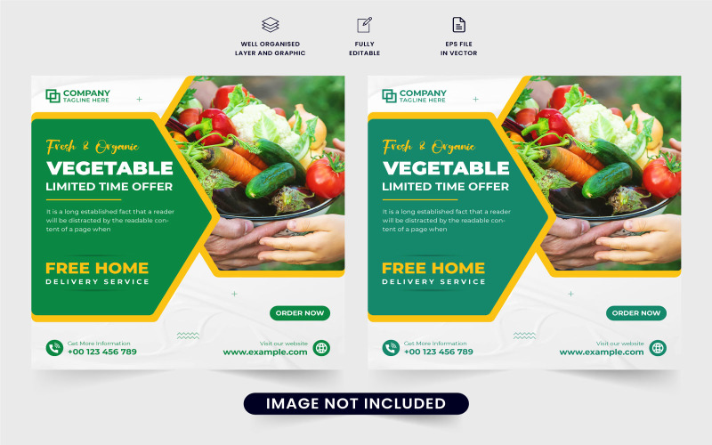 Healthy food promotional web banner Social Media