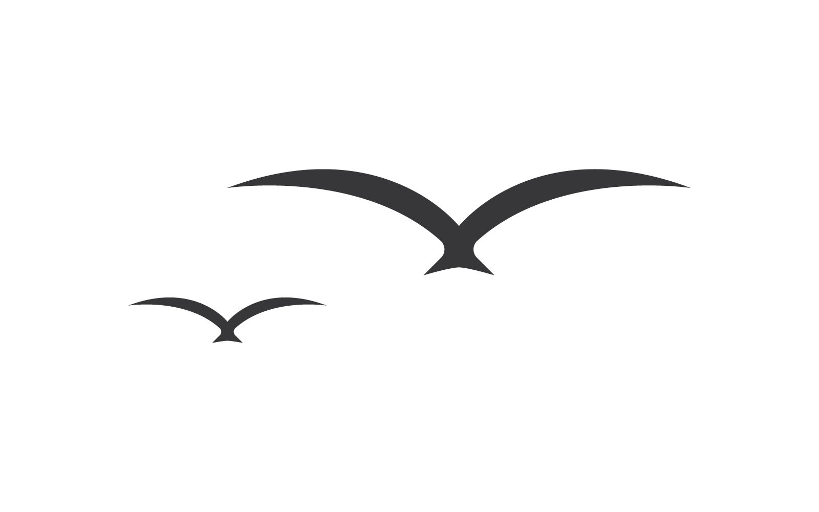Seagul vogel illustratie vector ontwerp