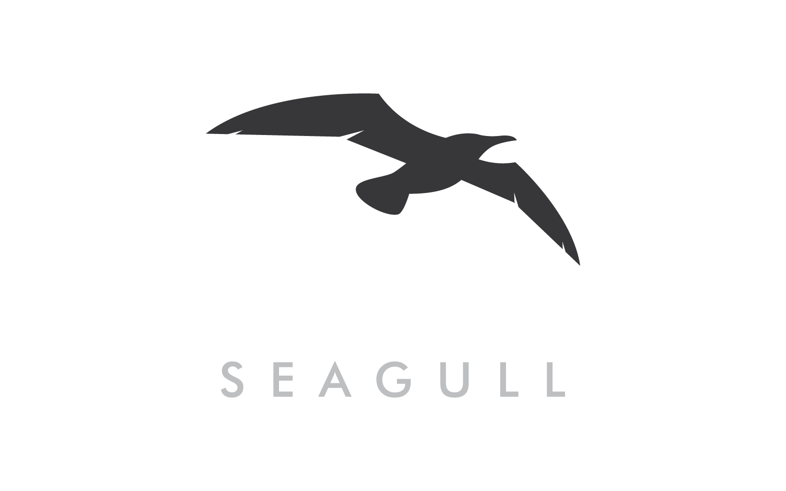 Seagull bird illustration logo vector design eps 10