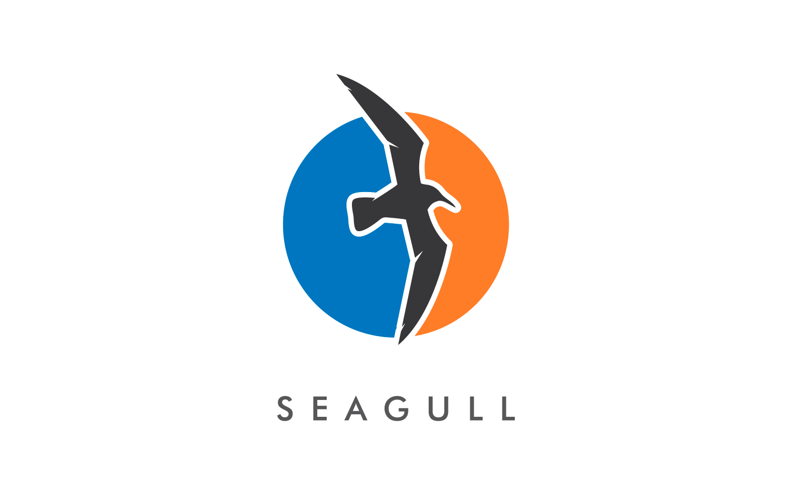 Seagull bird illustration vector flat design template Logo Template