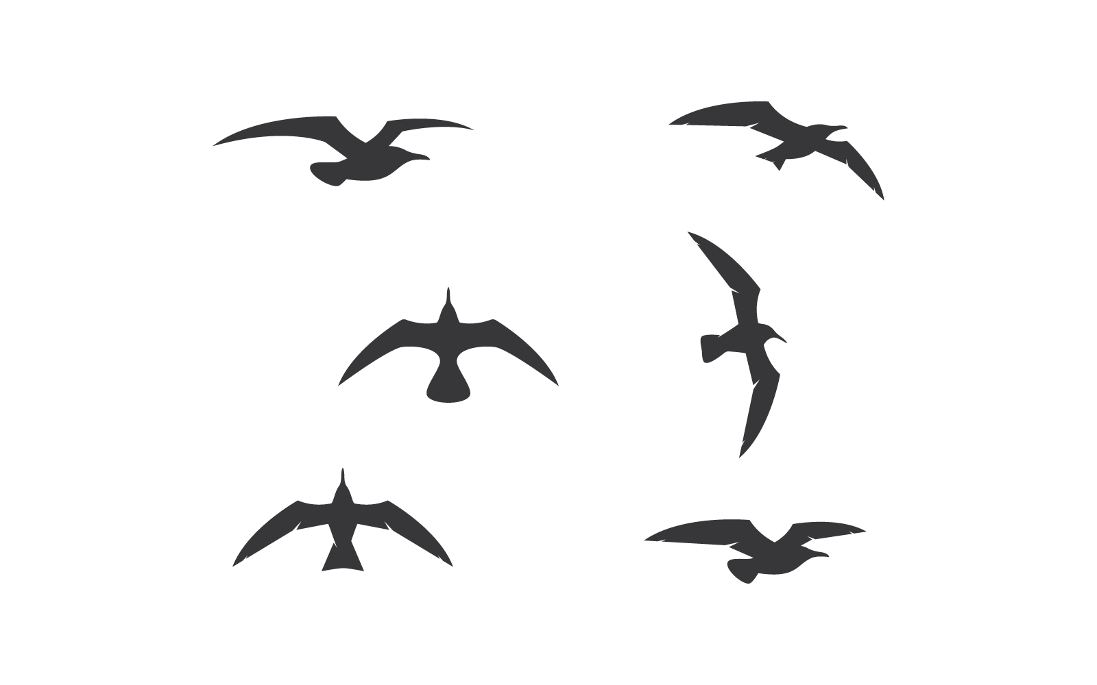 一组海鸥鸟插画矢量设计