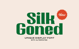 Silk Goned Modern Display Font