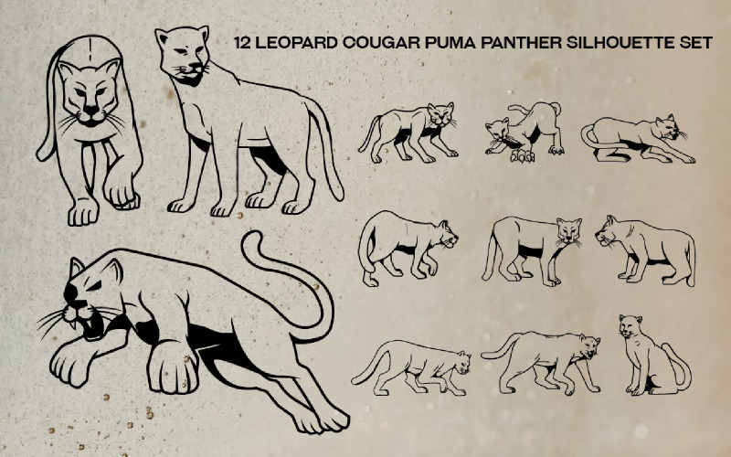 12 Leopard Cougar Puma Panther Silhouette Set Illustration