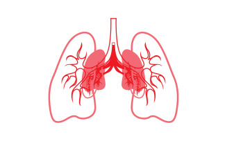 Human Lung Vector Image Template Vol 13
