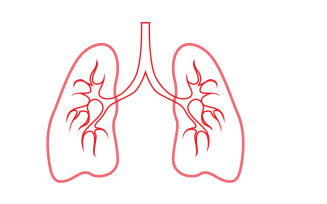 Human Lung Vector Image Template Vol 9