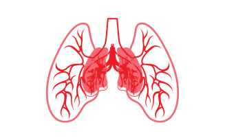 Human Lung Vector Image Template Vol 14