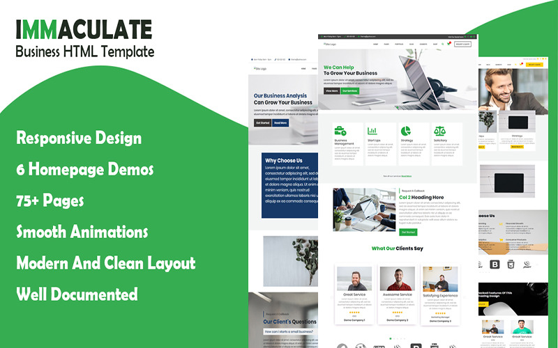 Immaculate Business Multipurpose Consulting HTML Template Website Template