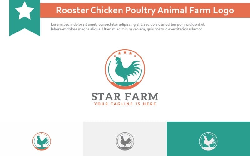 Star Chicken Rooster Poultry Animal Farm Logo Logo Template