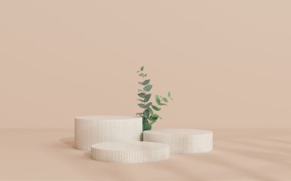 Circular shape podium with eucalyptus leaves and shadows