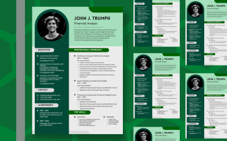 Free Simple Green Professional Detailed Financial Analyst Resume
