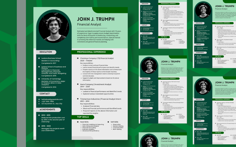 Free Simple Green Professional Detailed Financial Analyst Resume Resume Template
