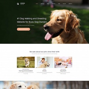 dog website breeders template try