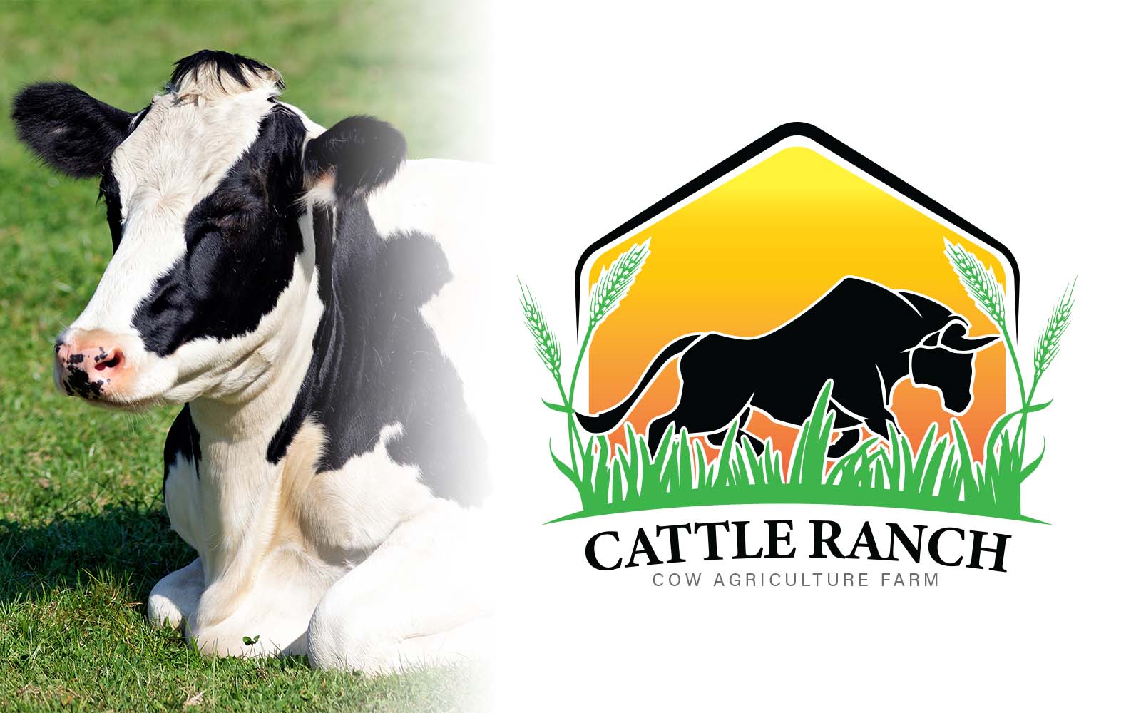 Kit Graphique #298223 Cattle Ranch Divers Modles Web - Logo template Preview