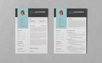Resume/CV PSD Design Templates Vol 120
