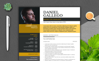 Daniel Gallego - Professional and Modern Resume Template