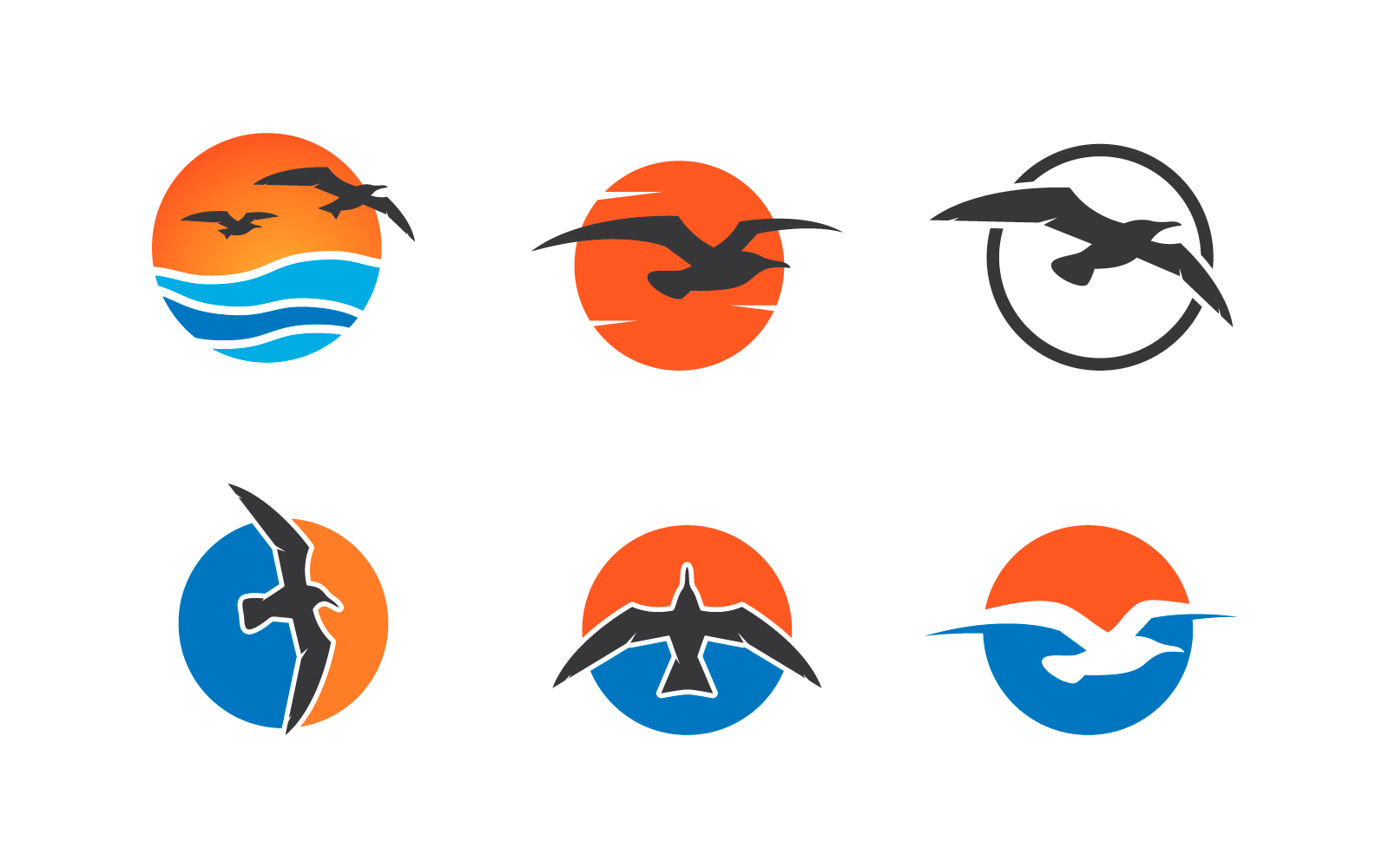Seagul bird illustration vector flat design template Logo Template