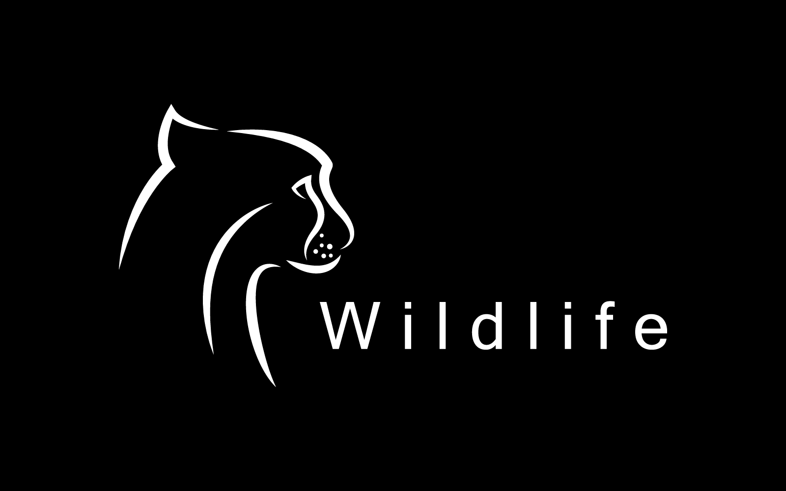 Tygrys głowa ilustracja logo szablon wektor Płaska konstrukcja