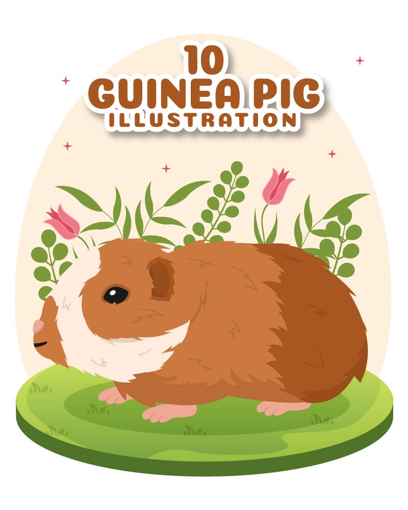 Kit Graphique #300855 Guine Cochon Divers Modles Web - Logo template Preview