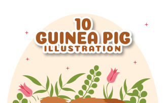10 Guinea Pig Pets Illustration